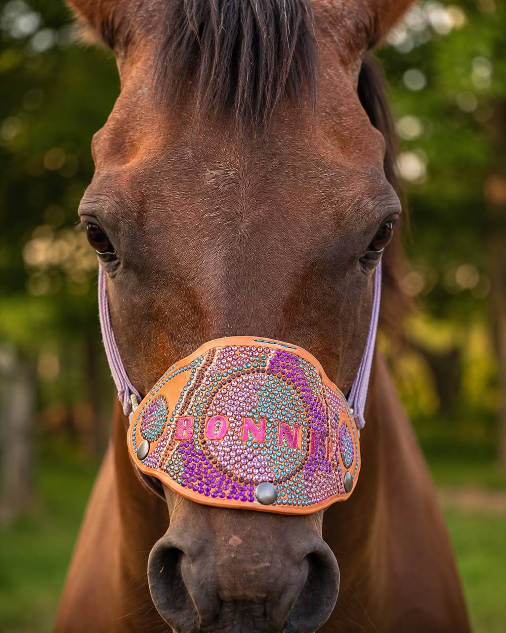 Custom jeweled leather horse noseband.
